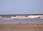 GalvistonIsland