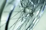 wheelgraphic