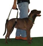 dog sling